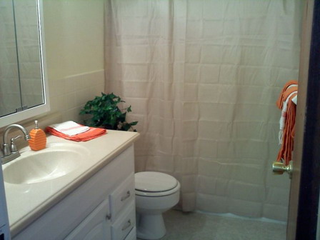 1332790309602 Stoughton Bathroom 1.jpg