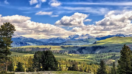 fantastic_green_meadows_in_yellowstone_hdr-1575365.jpg