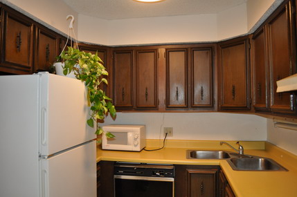 Kitchen with Greens