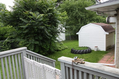 Back yard.JPG