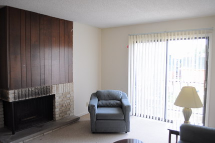 Livingroom with Fireplace.JPG