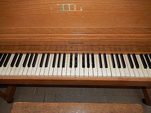 DSCN3127.JPG